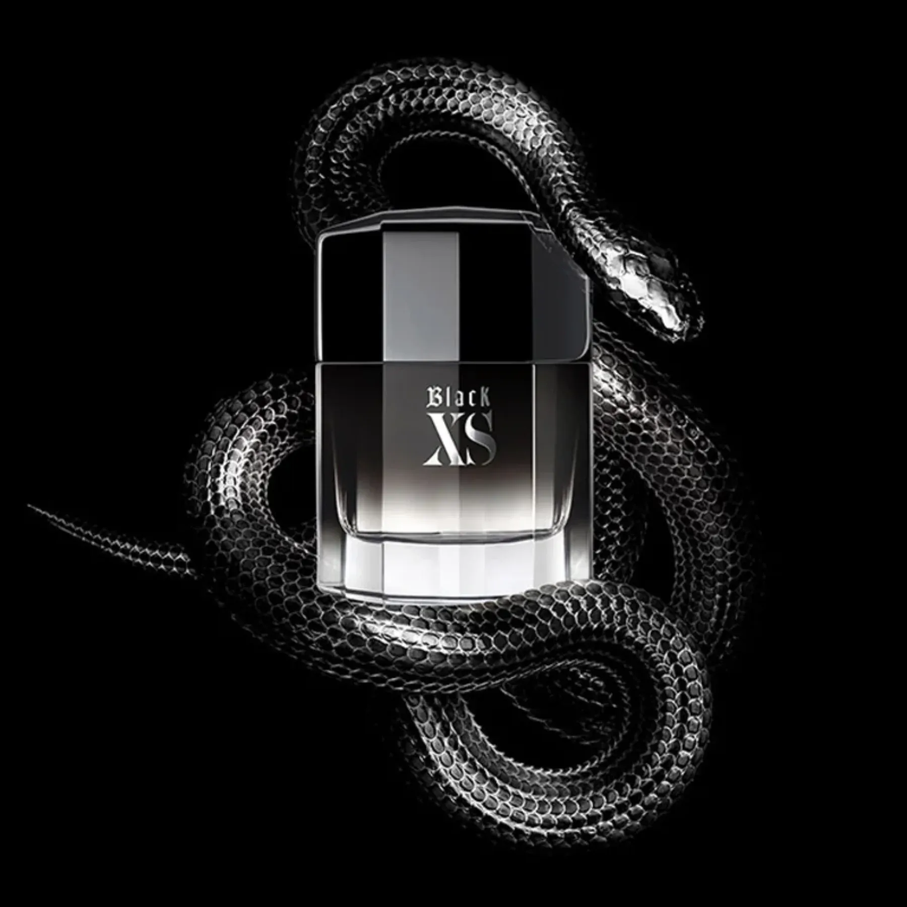 XS MAN -2-